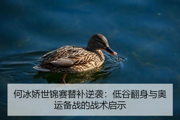 he-bing-jiao-shi-jin-sai-ti-bu-ni-xi-di-gu-fan-shen-yu-ao-yun-bei-zhan-de-zhan-shu-qi-shi-2-693.jpg
